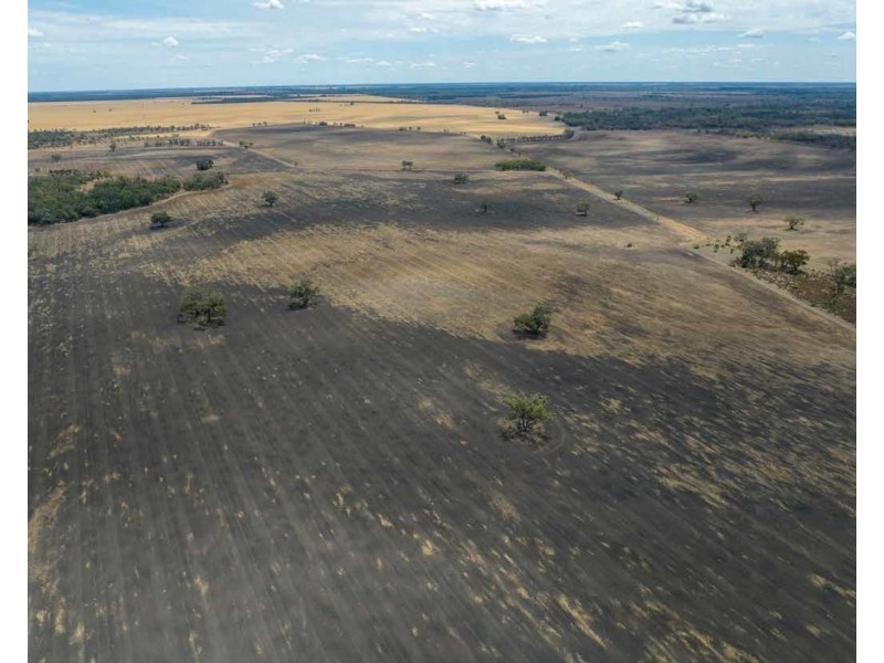 Troy, Moree NSW 2400