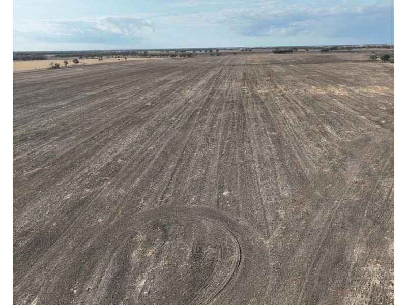 Troy, Moree NSW 2400