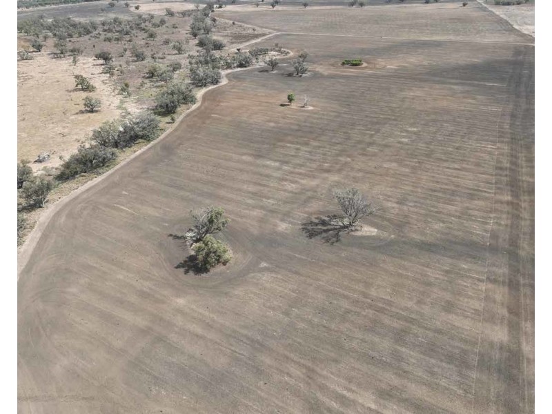 Troy, Moree NSW 2400