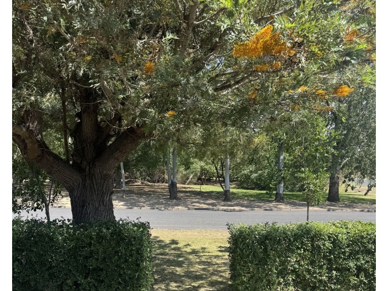 138 Gwydir Street, Moree NSW 2400