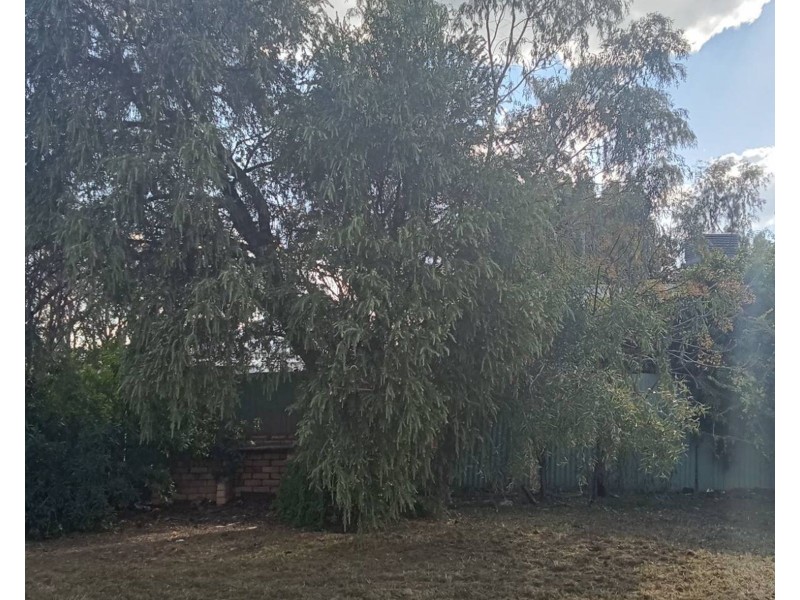 6 Anne Street, Moree NSW 2400