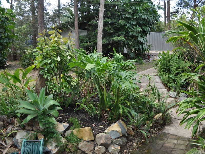 40 Diamond Head Drive, Sandy Beach NSW 2456