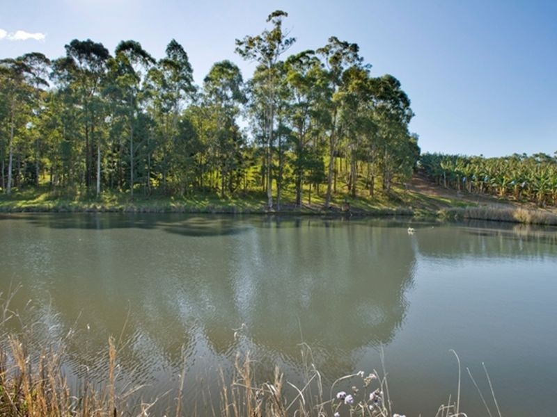 115 Wedding Bells Way, Woolgoolga NSW 2456