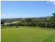 115 Wedding Bells Way, Woolgoolga NSW 2456
