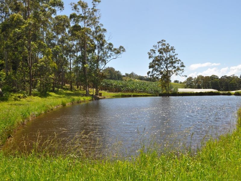 115 Wedding Bells Way, Woolgoolga NSW 2456