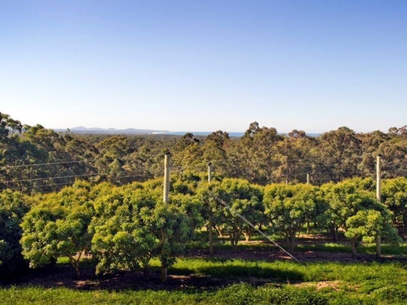 115 Wedding Bells Way, Woolgoolga NSW 2456