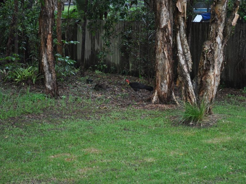 90 Diamond Head Drive, Sandy Beach NSW 2456