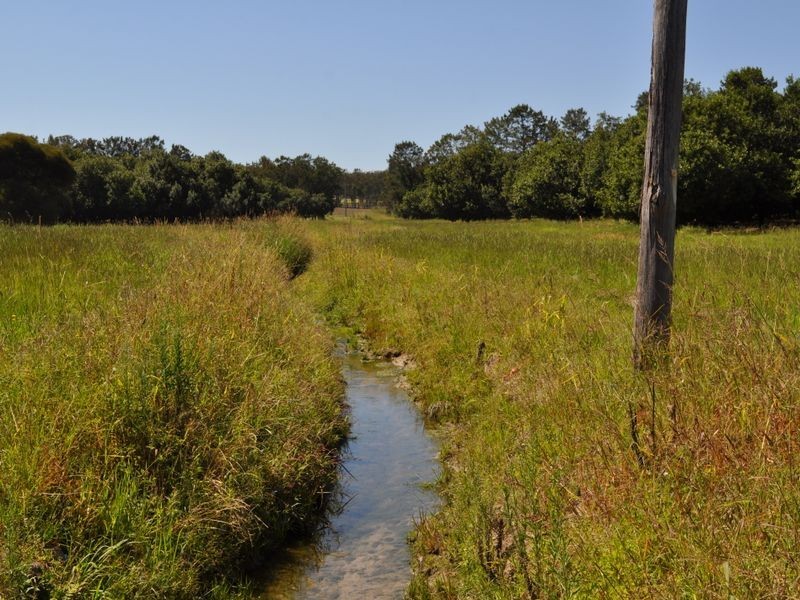 534 Kathleen Drive, Dirty Creek NSW 2460