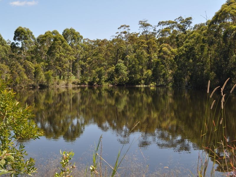 534 Kathleen Drive, Dirty Creek NSW 2460