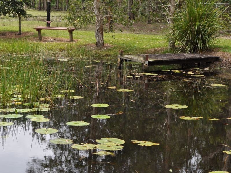 89 Graham Drive, Sandy Beach NSW 2456