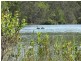 15 Melaleuca Avenue, Woolgoolga NSW 2456