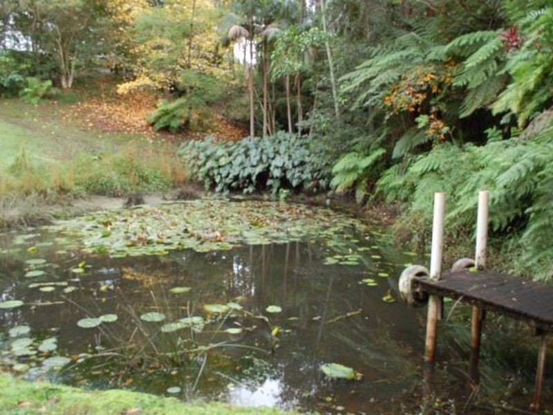 29 SouthArm Road, Urunga NSW 2455