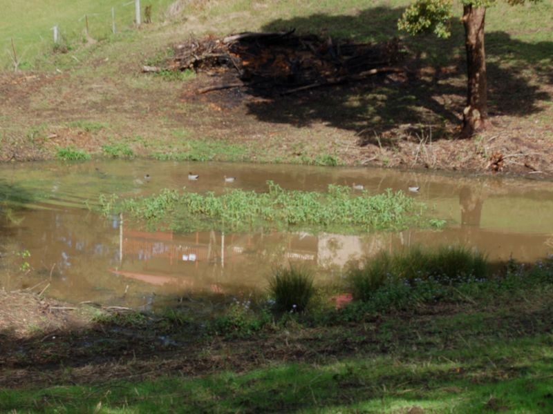 29 Tuckers Rock Road, Repton NSW 2454