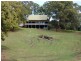 29 Tuckers Rock Road, Repton NSW 2454