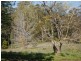 Lot 103 Gordonville Road, Gleniffer NSW 2454