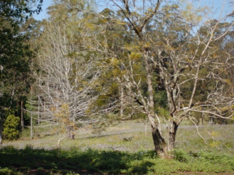 Lot 103 Gordonville Road, Gleniffer NSW 2454