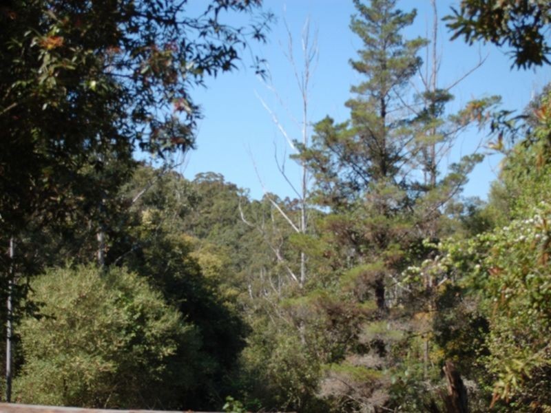 Lot 103 Gordonville Road, Gleniffer NSW 2454