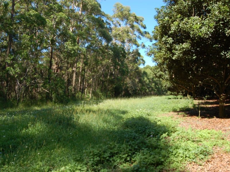 118 Schnapper Beach Road, Urunga NSW 2455