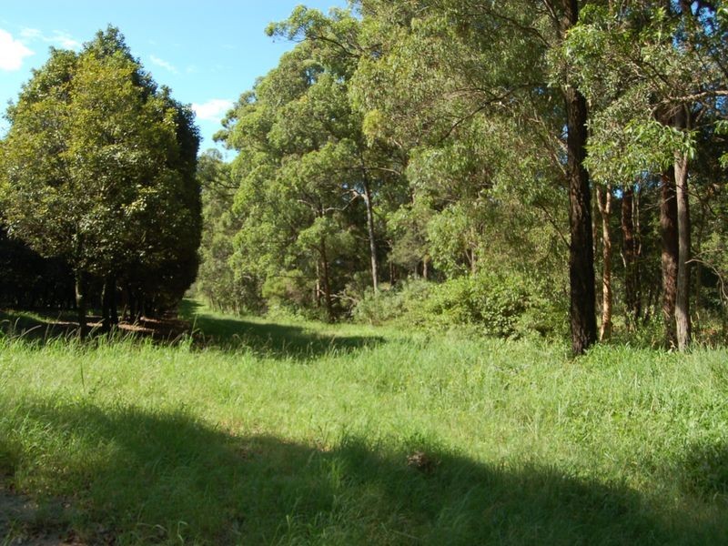 118 Schnapper Beach Road, Urunga NSW 2455