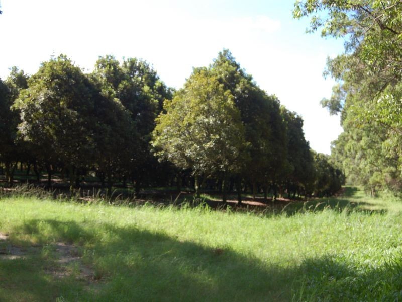 118 Schnapper Beach Road, Urunga NSW 2455