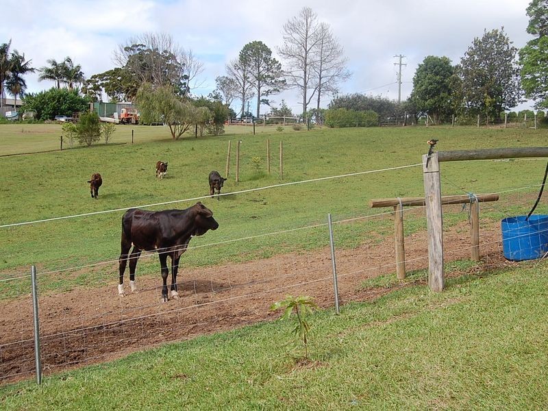 62 O’Dells Road, Warrell Creek NSW 2447