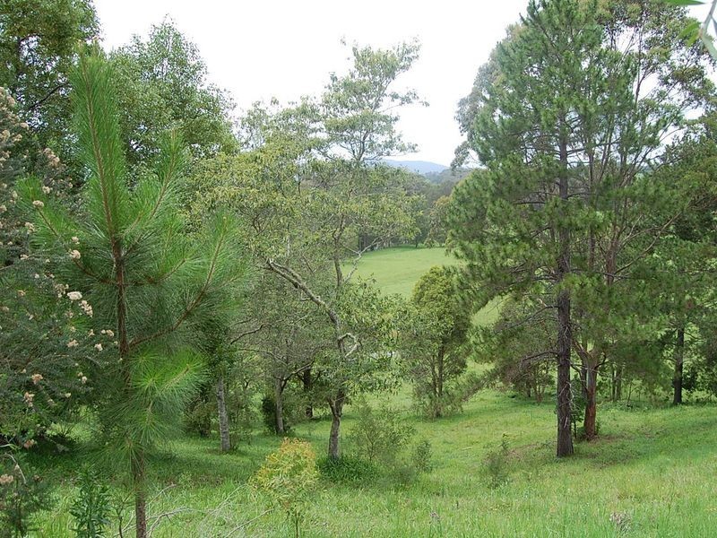 79 Talarm Road, Talarm NSW 2447