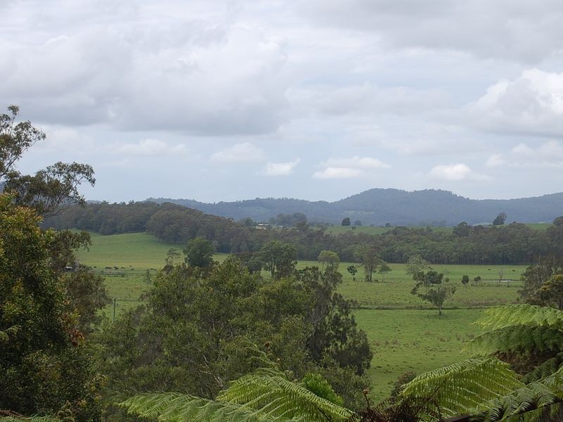 79 Talarm Road, Talarm NSW 2447