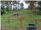 79 Talarm Road, Talarm NSW 2447