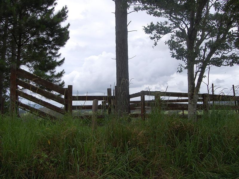 79 Talarm Road, Talarm NSW 2447