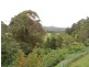 79 Talarm Road, Talarm NSW 2447