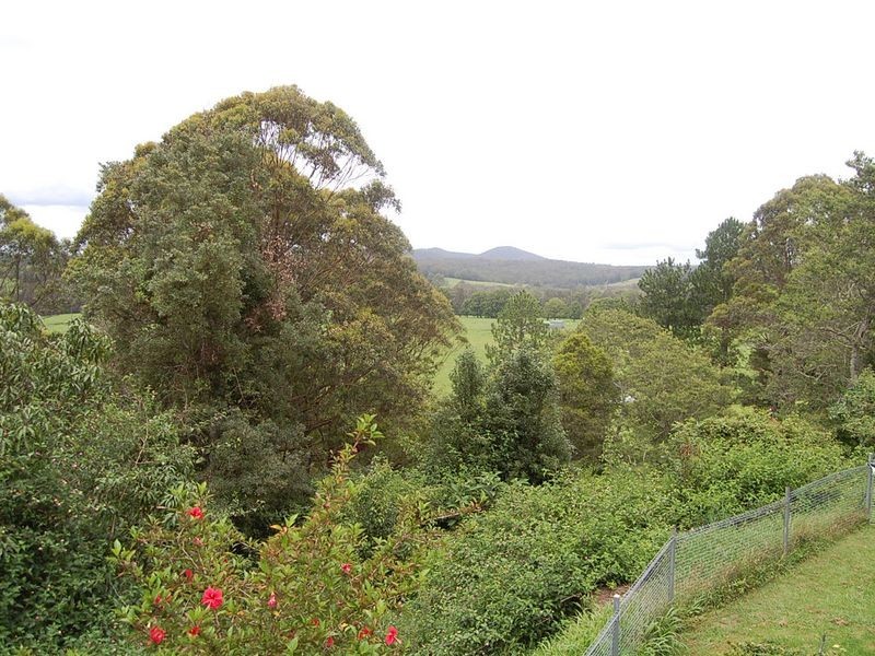 79 Talarm Road, Talarm NSW 2447