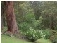 79 Talarm Road, Talarm NSW 2447