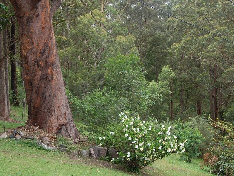 79 Talarm Road, Talarm NSW 2447