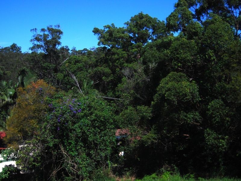 7 Gillett Close, Macksville NSW 2447