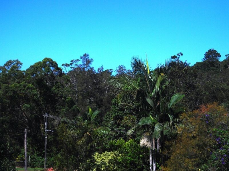 7 Gillett Close, Macksville NSW 2447