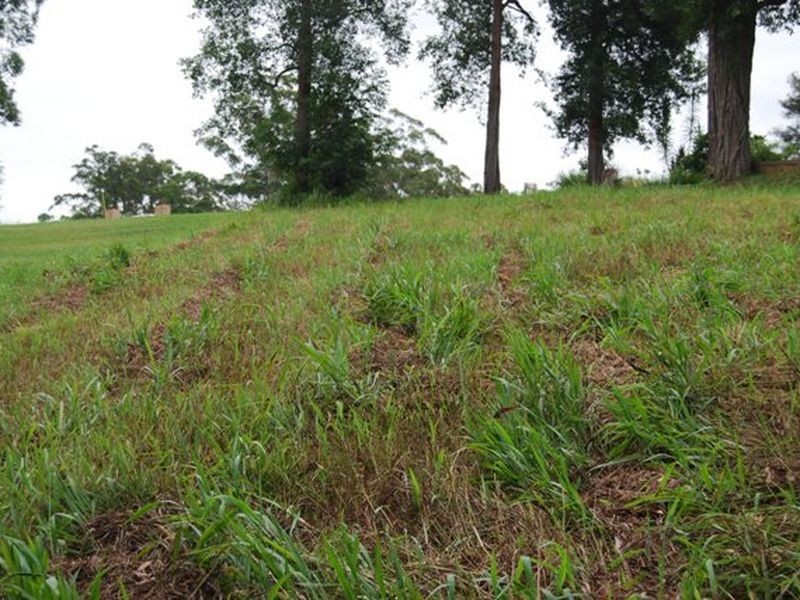 18 Charles Place, Nambucca Heads NSW 2448