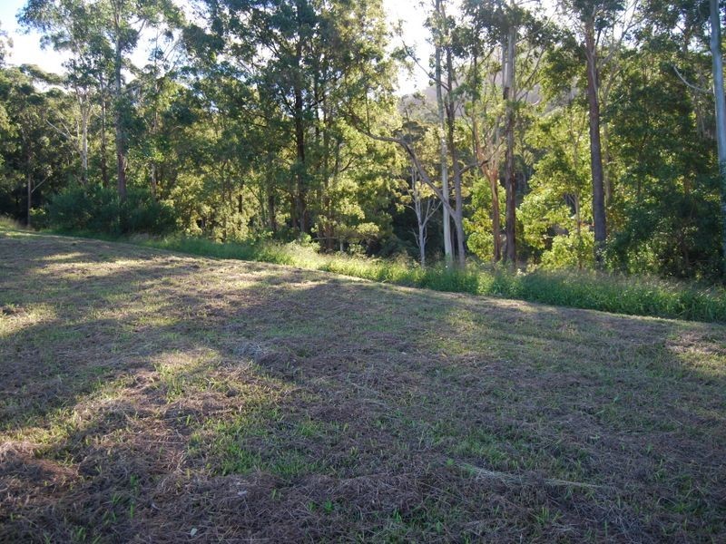 Lot 14 Burkes lane, Valla NSW 2448