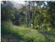 Lot 14 Burkes lane, Valla NSW 2448