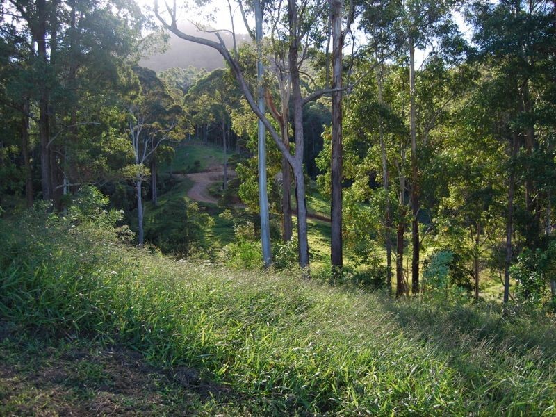 Lot 14 Burkes lane, Valla NSW 2448