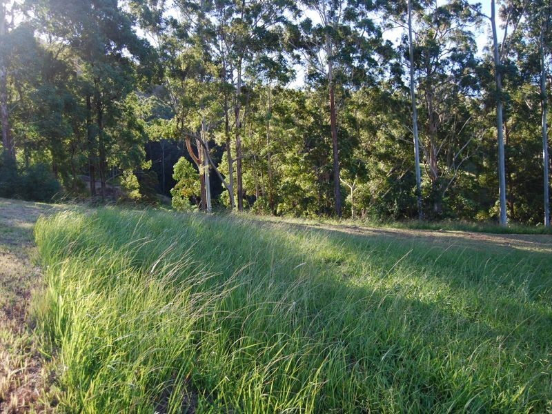 Lot 14 Burkes lane, Valla NSW 2448