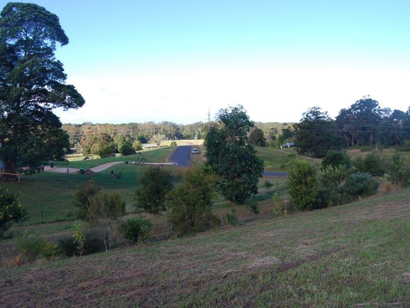 Lot 14 Burkes lane, Valla NSW 2448