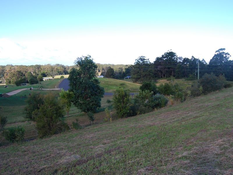 Lot 14 Burkes lane, Valla NSW 2448