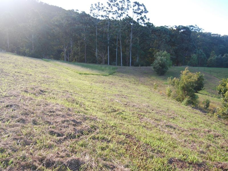 Lot 14 Burkes lane, Valla NSW 2448