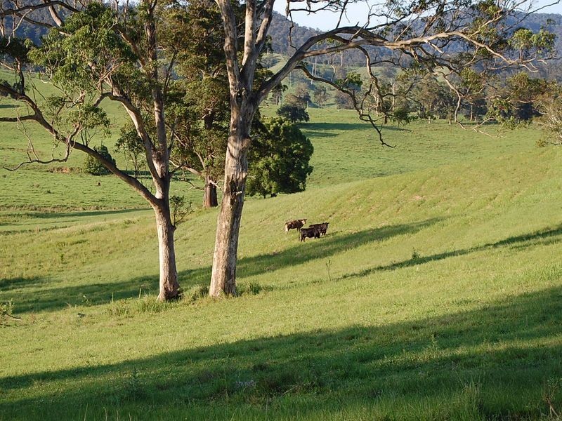 181 North Bank Road, Yarranbella NSW 2447