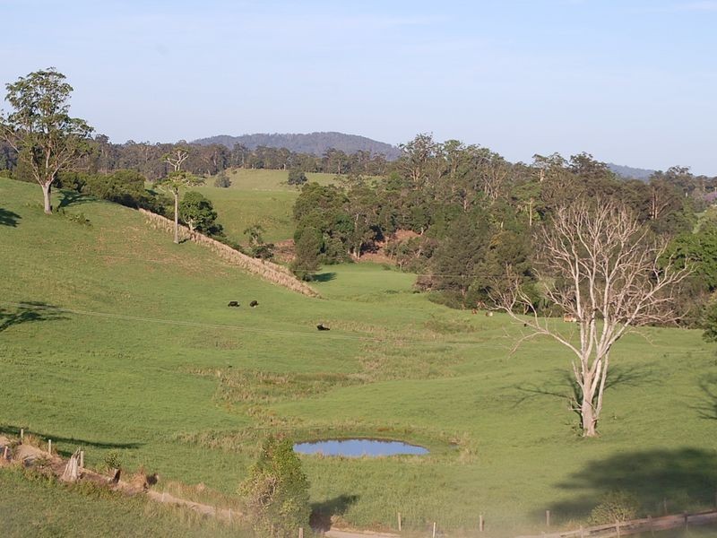 181 North Bank Road, Yarranbella NSW 2447