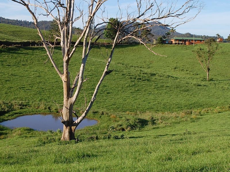 181 North Bank Road, Yarranbella NSW 2447