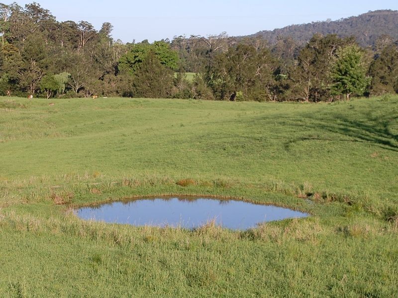 181 North Bank Road, Yarranbella NSW 2447