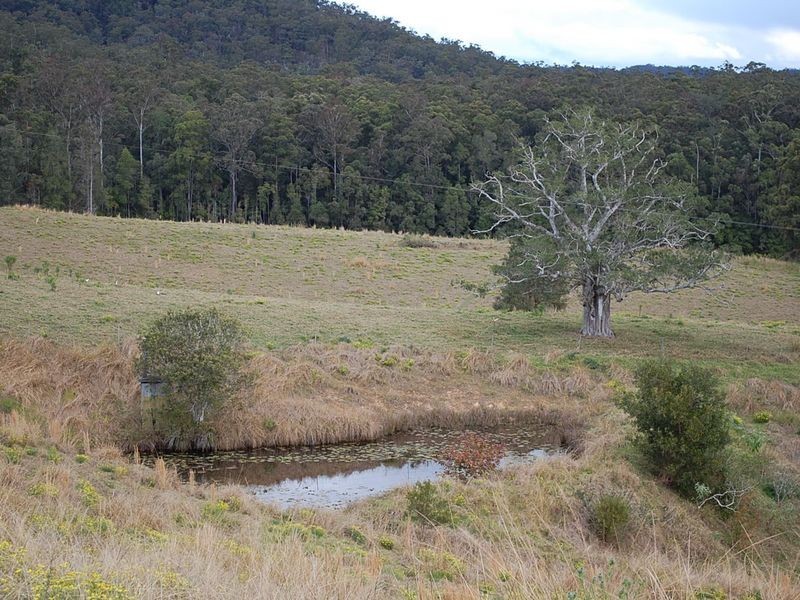 Lot/320 Wards Road, Macksville NSW 2447