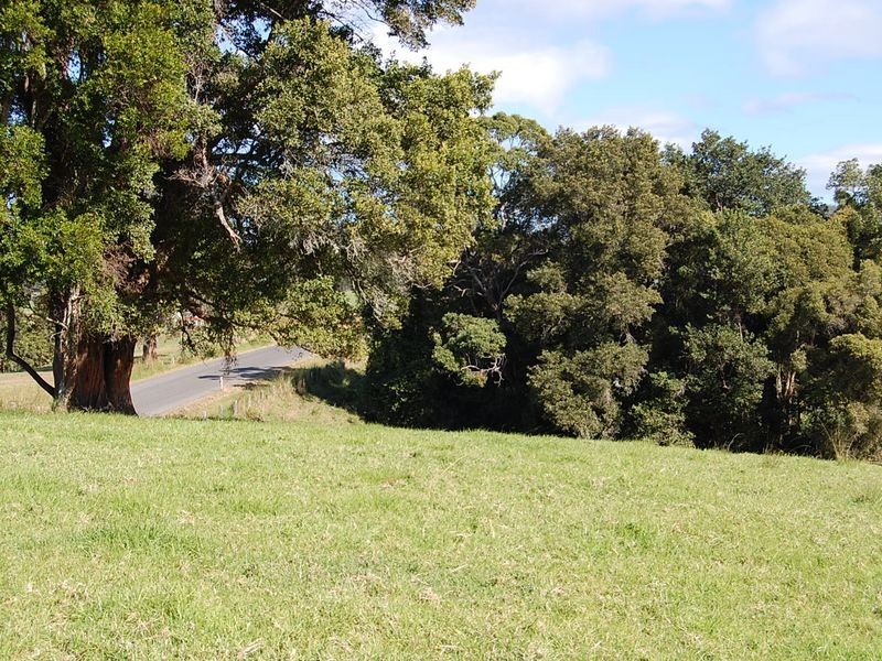 360 Upper Warrell Creek Road, Warrell Creek NSW 2447