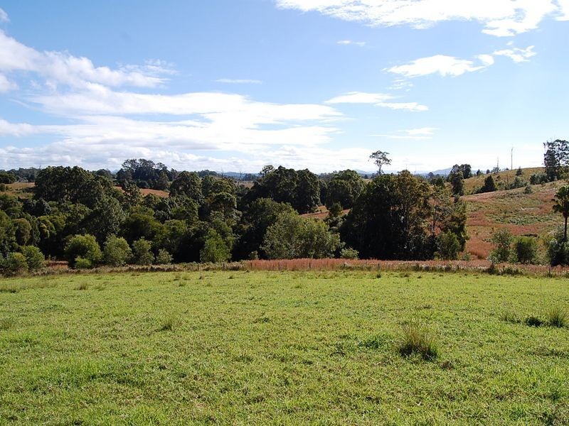 360 Upper Warrell Creek Road, Warrell Creek NSW 2447